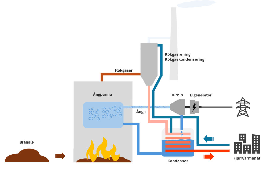 Cogeneration plant 2024
